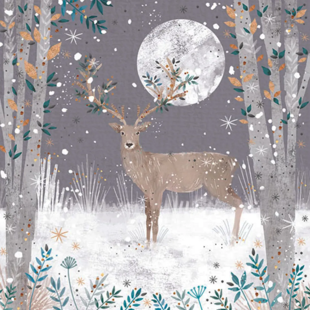 The Christmas Shop Boxed Reindeer Cards| Packs Of Cards