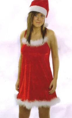 The Christmas Shop Lady's Santa Suit| Costumes