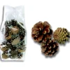 The Christmas Shop Pine Cones| Picks & Berries