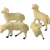 The Christmas Shop Sheep| Nativity